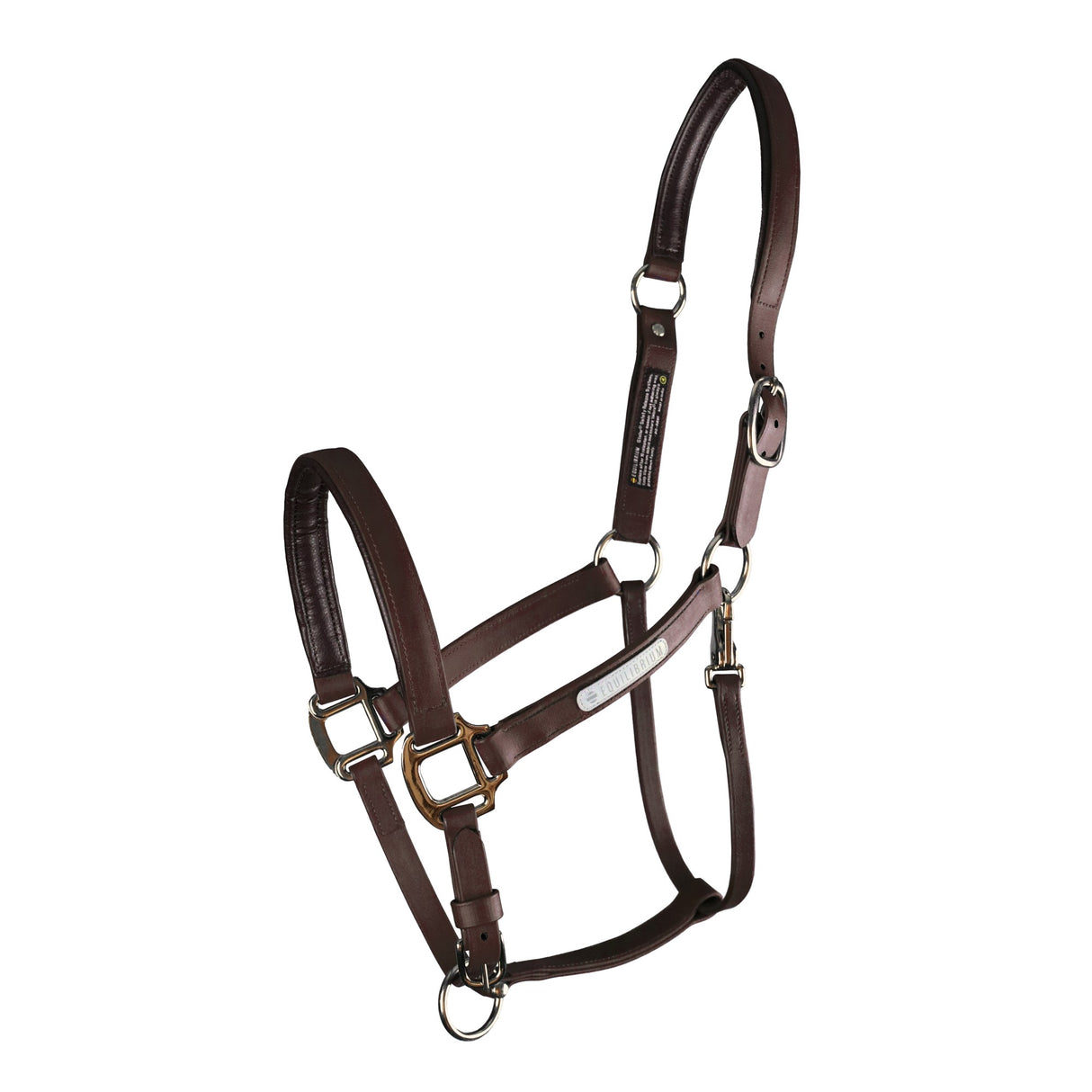 Equilibrium Stellar All-Weather Head Collar