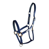 Equilibrium Stellar All-Weather Head Collar