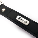 Stellar Head Collar