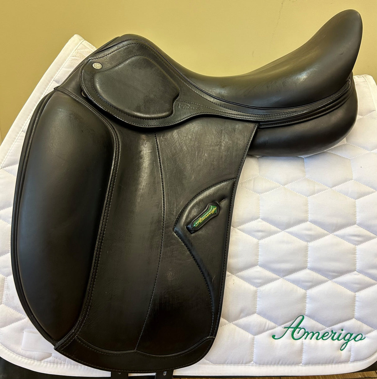 Pasubio Dressage Pinerolo