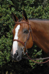 Fancy Raised Hunter Bridle